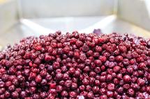 Production Plant Gleisdorf