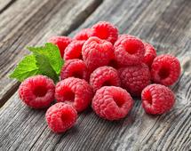 [Translate to English:] Himbeeren